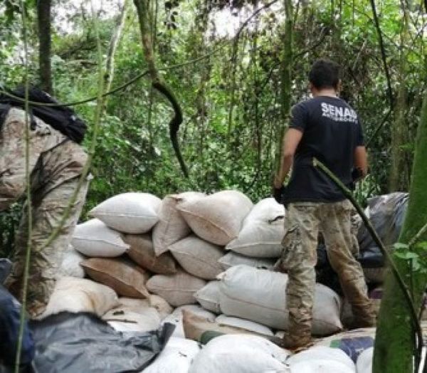Encuentran 14.000 kilos de marihuana