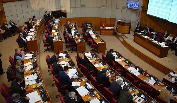 Senado aprueba en general proyecto para anular facturas de la ANDE y Essap - ADN Paraguayo