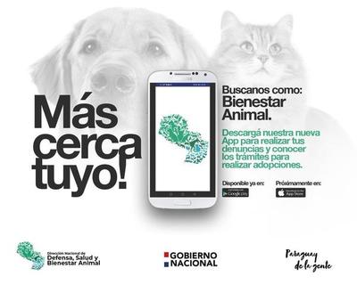 Dirección Nacional de Bienestar Animal lanza APP para denuncias – Prensa 5