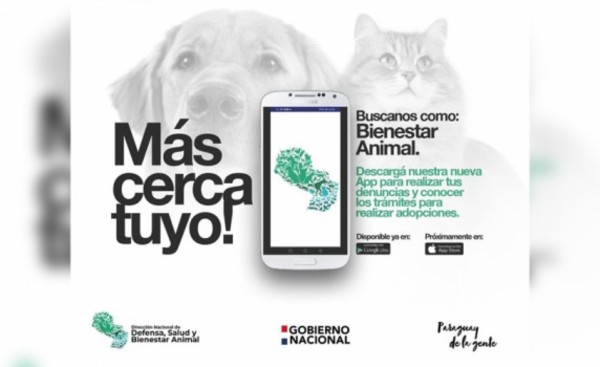 Dirección Nacional de Bienestar Animal lanza APP para denuncias