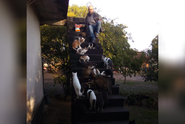 Así ayudaron a un hombre que cuida a muchos gatitos y quedó sin trabajo por la crisis - Megacadena — Últimas Noticias de Paraguay