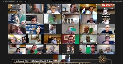 Senado aprueba proyecto parar anular facturas de ANDE y ESSAP generadas durante la pandemia