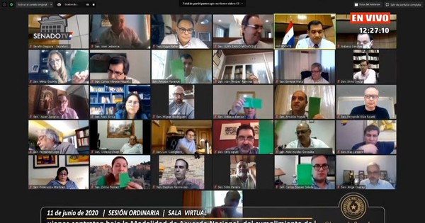 Senado aprueba proyecto parar anular facturas de ANDE y ESSAP generadas durante la pandemia
