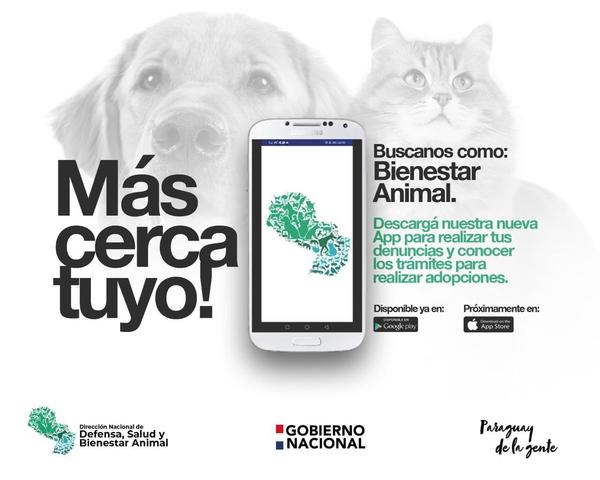 Dirección Nacional de Bienestar Animal lanza app para denuncias - El Trueno