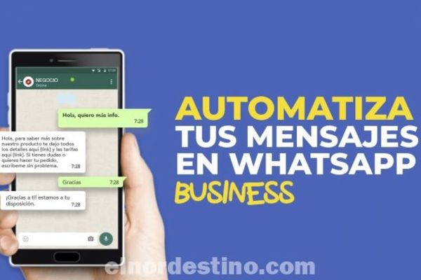 Ahora la popular aplicación Whatsapp se puede programar para que responda automáticamente mensajes por ti