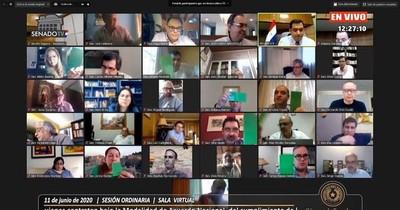 Senado aprobó cancelar facturas de Ande y Essap emitidas en pandemia