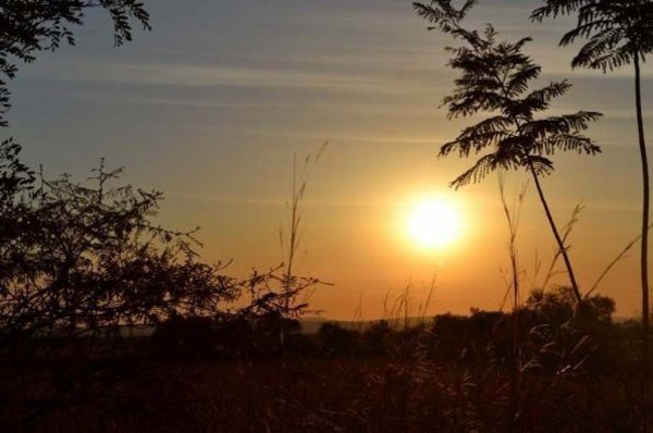 Anuncian viernes caluroso con vientos del norte; el sábado incursionaría nuevamente un frente frío - ADN Paraguayo
