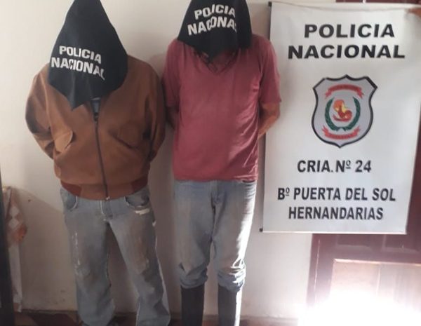 Detienen a dos hombres que transportaban dos vacas lecheras aparentemente robadas