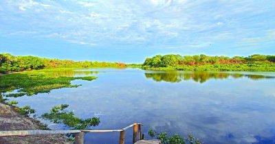 Recorrer el grandioso pantanal paraguayo ahora es posible de manera virtual
