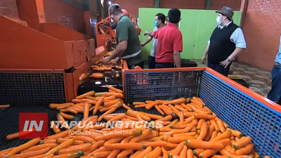 PRODUCTORES DE ZANAHORIA PIDEN AYUDA PARA COMERCIALIZAR SUS PRODUCTOS