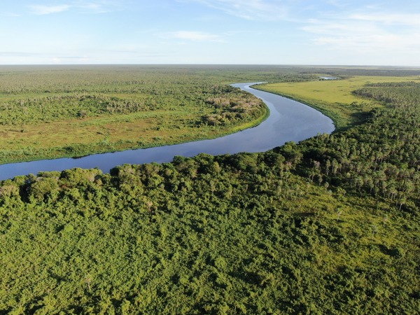 Hacé un paseo virtual dentro de la Reserva Pantanal Paraguayo