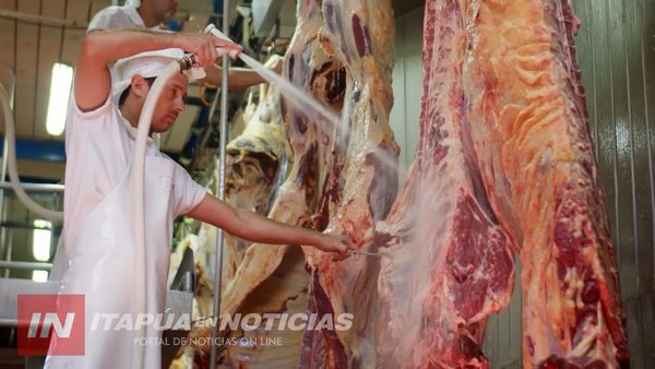 CARNE PARAGUAYA SIGUE SIENDO EXPORTADA AL EXTERIOR