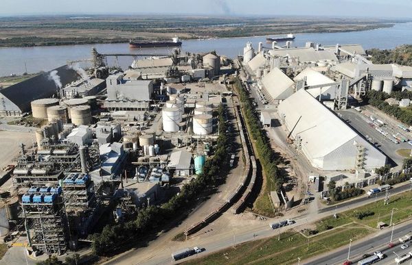 Gobierno argentino interviene Vicentín - Internacionales - ABC Color