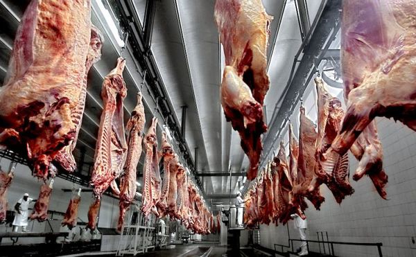 Chile y Rusia representan el 57,5% de exportaciones de carne bovina