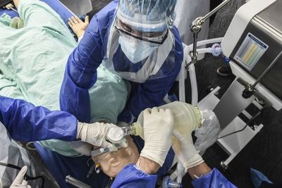 ¿Es el nuevo coronavirus sensible a las estaciones? - Ciencia - ABC Color