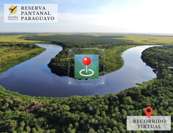 Sabías que podés recorrer la Reserva Pantanal Paraguayo de forma virtual: ¡Enterate cómo! - Megacadena — Últimas Noticias de Paraguay