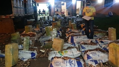 Incautan una tonelada de marihuana disfrazada de mandioca