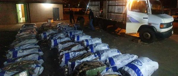 Bolsas de mandioca terminaron siendo de marihuana - Megacadena — Últimas Noticias de Paraguay