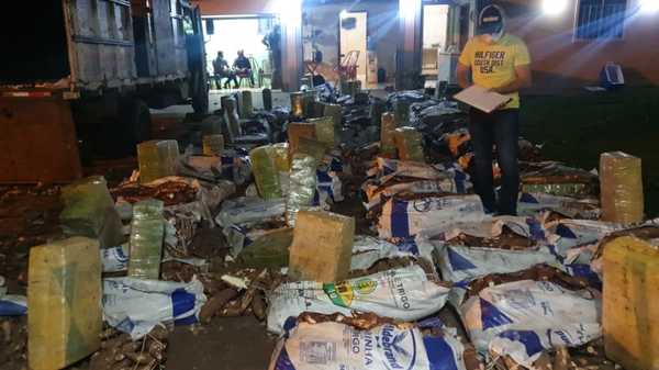 Incautan una tonelada de marihuana oculta en una carga de mandioca