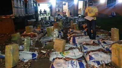 Incautan una tonelada de marihuana disfrazada de mandioca