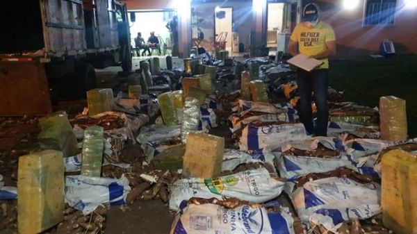 Incautan una tonelada de marihuana disfrazada de mandioca