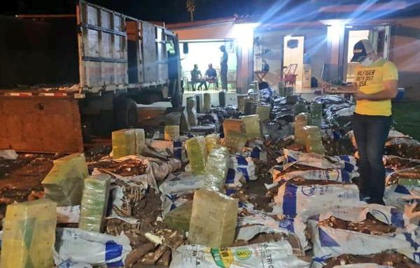 Incautan tonelada de marihuana oculta entre bolsas de mandioca