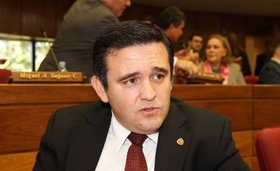 Senador califica a Petta de "ñandejara taxi" (burro) por sus exabruptos - ADN Paraguayo