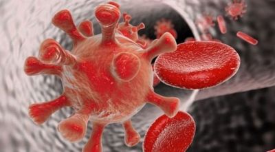 Siete nuevos casos de Covid-19, seis son de contagios en la comunidad