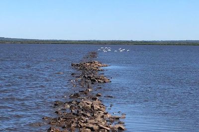 Lago Ypacaraí: colocación de geobolsas podría iniciar la próxima semana » Ñanduti