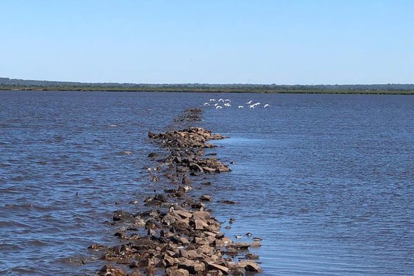 Lago Ypacaraí: colocación de geobolsas podría iniciar la próxima semana » Ñanduti