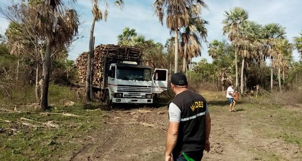 Desbaratan actividad de desmonte en zona de humedales del Bajo Chaco – Diario TNPRESS