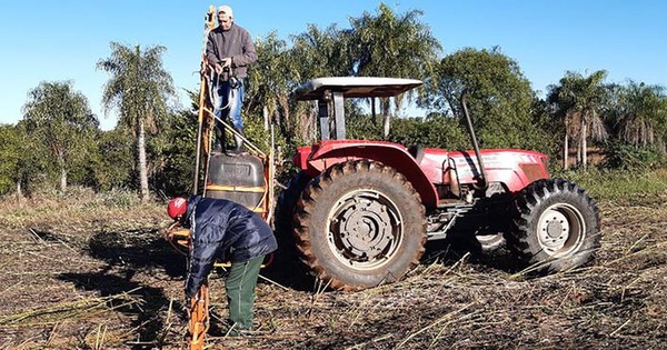 Escuelas agrícolas cambian de actitud ante biotecnología