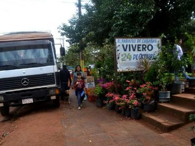 Viveros de Cabañas vuelven a la actividad en Caacupé