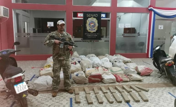HOY / Incautan casi una tonelada de marihuana en Yby Yaú