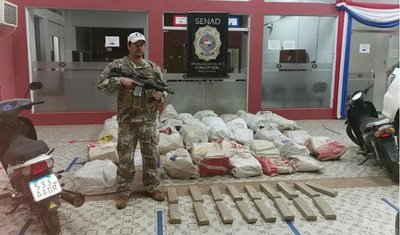 Senad incauta más de 900 kilos de Marihuana en Concepción | Noticias Paraguay