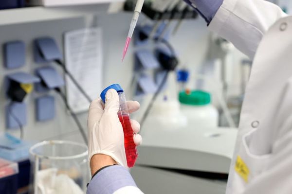 Confirman otros 3 casos de COVID-19 en Amambay - Nacionales - ABC Color