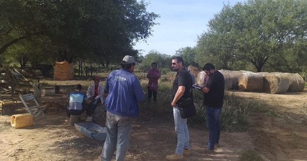 Alto Paraguay: Fiscal constató tala irregular de palo santo