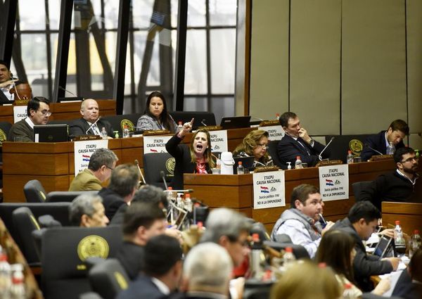 Kattya Gonzáez: “No podemos perder la oportunidad de sanear al Estado” - Notas - ABC Color