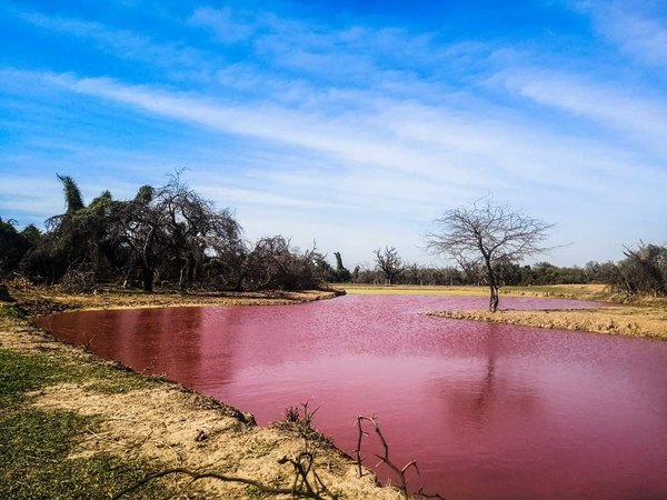 ¡Gran debate! sobre el porqué el agua es roja | Crónica