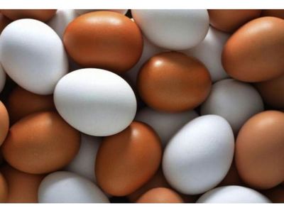El huevo, alimento nutritivo y sano
