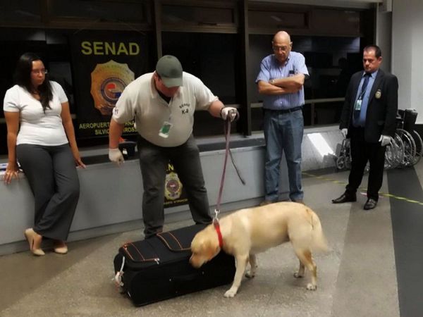 Ratifican 13 años de cárcel por querer llevar droga en ropas