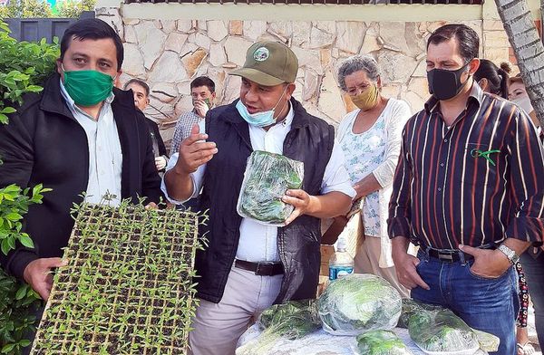 Preparan huertas para mitigar crisis económica - Economía - ABC Color