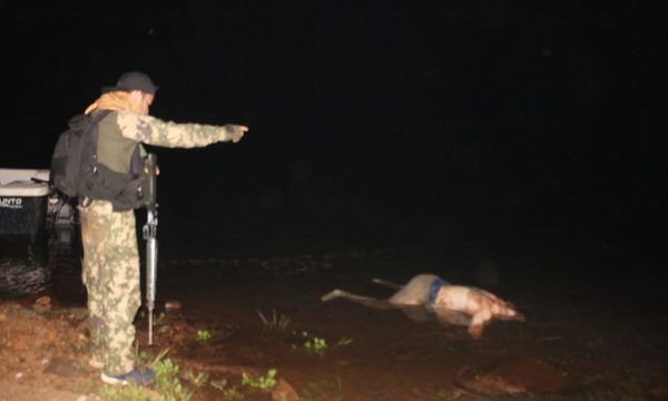 Recuperan cadáver de adolescente que se ahogó en Paraná – Diario TNPRESS
