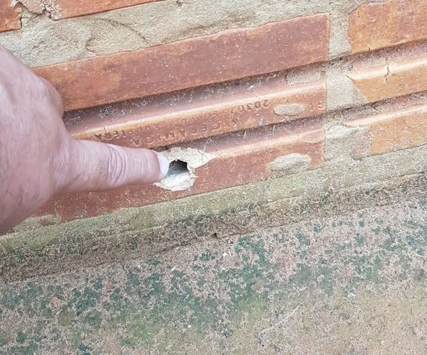 Balean a comerciante durante asalto frustrado de película en Santa Lucia – Diario TNPRESS