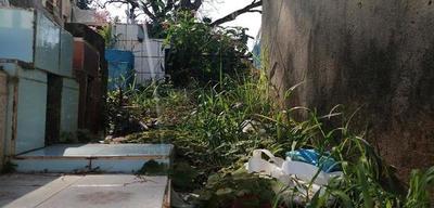 Concejales piden limpieza del camposanto – Prensa 5