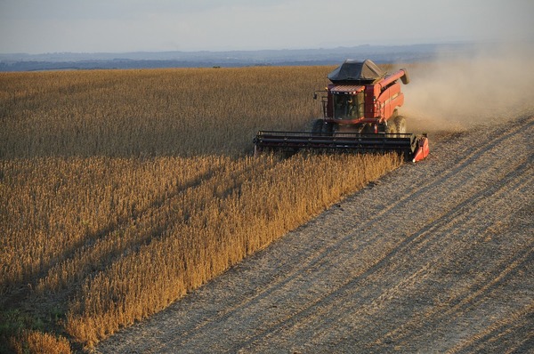 Empresa argentina triangulaba granos a Paraguay para evadir impuestos de exportación - El Trueno