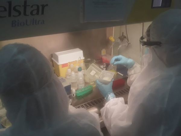 Detectan un caso positivo entre llegados de Buenos Aires - Nacionales - ABC Color