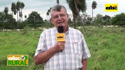 Abc Rural: Manejo de pasturas y suelo - ABC Rural - ABC Color