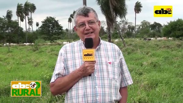 Abc Rural: Manejo de pasturas y suelo - ABC Rural - ABC Color