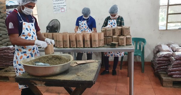 Productores de Tavaí vendieron 14.000 kilos de productos para kit de alimentos
